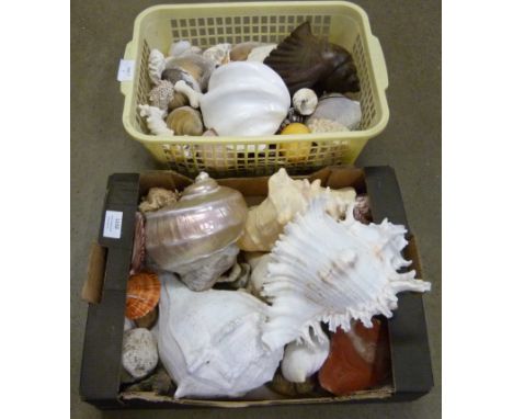 Two boxes of shells and agates **PLEASE NOTE THIS LOT IS NOT ELIGIBLE FOR POSTING AND PACKING** 