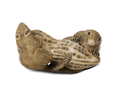 Netsuke Zwei Ratten auf ErdnussJapanUm 19003,5 x 3 cmSignatur wohl „Noboru“ in ungewöhnlichem Kursivstil