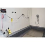 Rice Lake S/S Digital Drive on Platform Scale, Model: 420 Plus-2A, with 48" x 60" Platform and Ramp,