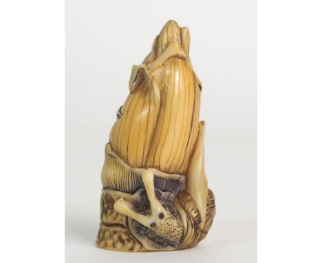 A JAPANESE IVORY NETSUKE coloured and carved with a snail wrapped around a corn tassle, signed, 5m high Condition Report: Ava