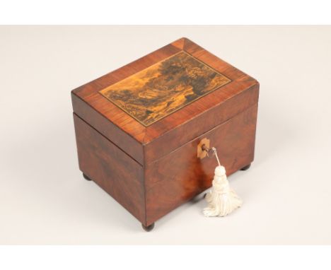 19th century walnut tea caddy, hinged cover with a transfer print panel 'The Pass of Lennie', fitted interior (no lids), rais