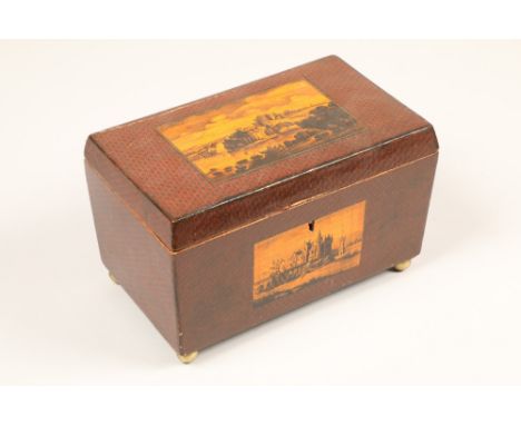 19th century Scottish Mauchline ware tea caddy, wooden hinged cover with a transfer print of Culzean Castle, revealing twin l