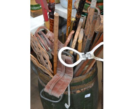 A collection of 20th Century shooting sticks along with walking stick canes , golf clubs , tools etc (please see images)