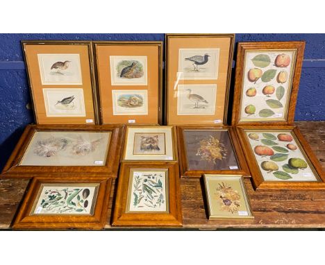 A quantity of decorative framed and glazed pictures and prints to include, maple style framed historic apple varieties B.Lang