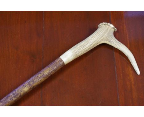 Rustic horn handle walking stick 93cm long