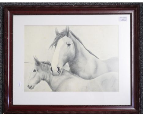 Pencil sketch, mare and foal.  29x41cm approx.  Framed and glazed.  (B.P. 21% + VAT) 