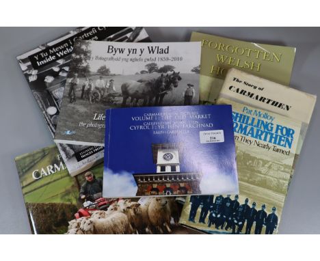 Box of Welsh interest books to include: 'Portrait of Carmarthenshire' Nick Jenkins 2009, 'Forgotten Welsh Houses', 'A Shillin