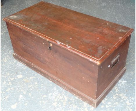 PINE TRUNK 