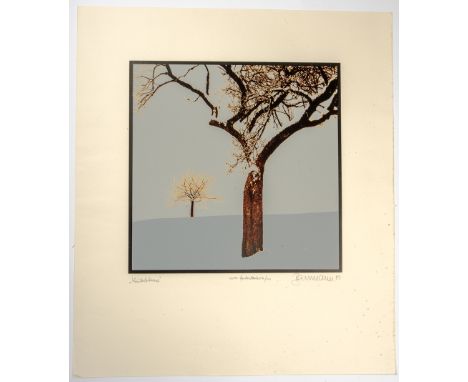 Baumann Siebdruck. "Winterbäume". l.u. bez., mittig num. "E.A. /200", r. u. sign. U. dat "83".  40 x 40/ 69 x 60 cm.