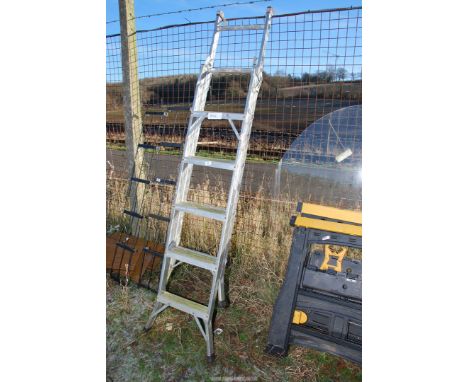 A Five-rung extending Ladder.