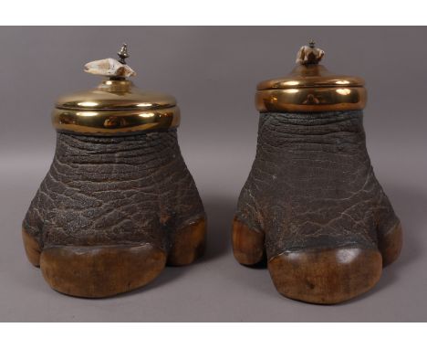 A LATE 19TH CENTURY RHINO FOOT TOBACCO JAR AND COVER, with tooth finial and brass mounts, 26cm high; and another slightly sma