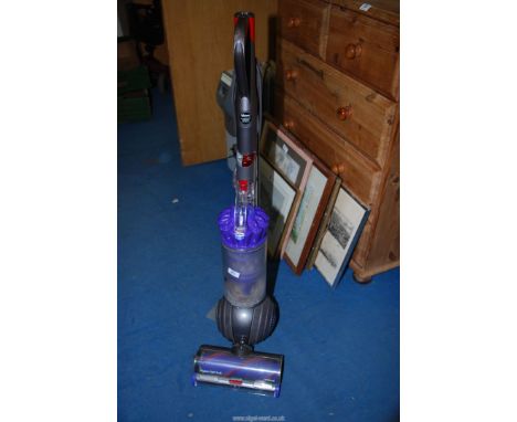 A Dyson light ball 'Animal' vacuum.
