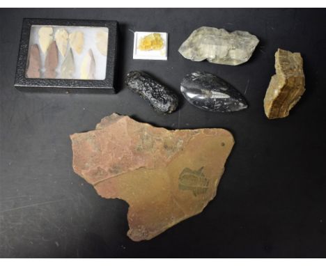 Geology and Archeology - stone arrow heads, fossils and rock specimens