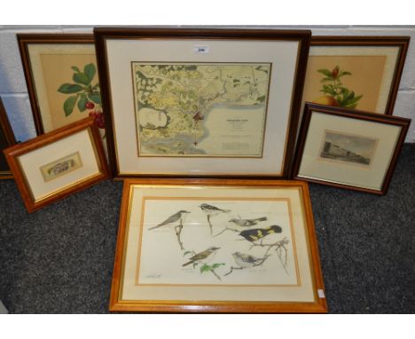 Pictures and prints - Entwhistle, observational study of British birds; a 19th century botanical print, framed; another; othe