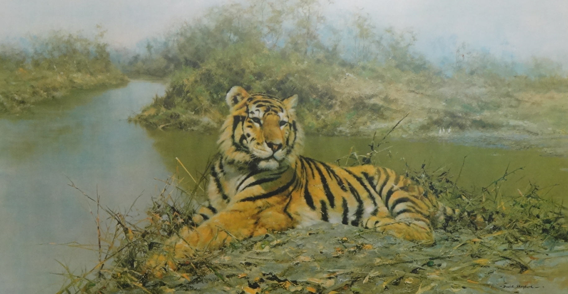 DAVID SHEPHERD Limited edition print 'Tiger in The Sun', No 791/850 ...