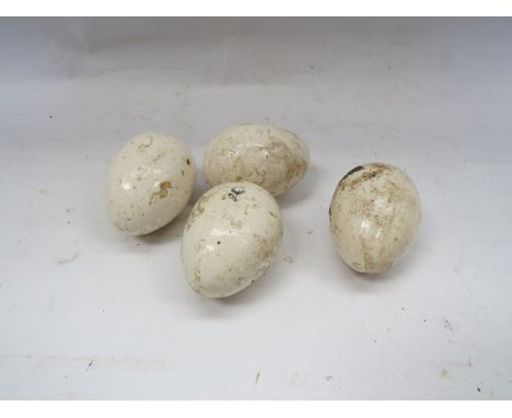 Four ceramic brooding eggs 