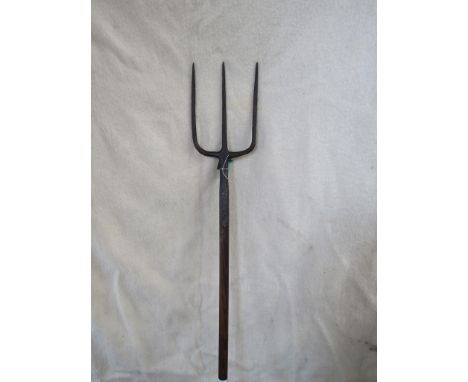 A trident fork 