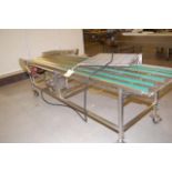 SS Wire Motorized Conveyor, 30 in. Wide x 124 in. Length, 2 HP Motor, 208-230/460 Volt