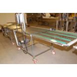 SS Wire Motorized Conveyor, 30 in. Wide x 96 in. Length, 2 HP Motor, 208-230/460 Volt