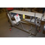 14 in. Wide X 60 in. Length Motorized Belt Conveyor, SS Frame, 3/4 HP Motor, 230/460 Volt, 4-Wheel
