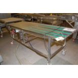 Motorized SS Wire Belt Conveyor, 30 in. Wide x 108 in. Length, SS 4-Wheel Base