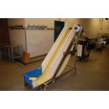 Motorized Incline Conveyor, 84 in. Length, SS Frame, 1/2 HP, 115/208-230 Volt