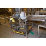 SS Wire Belt Motorized Conveyor, 34 in. Wide x 96 in. Length, 5 HP 208-230/460 Volt