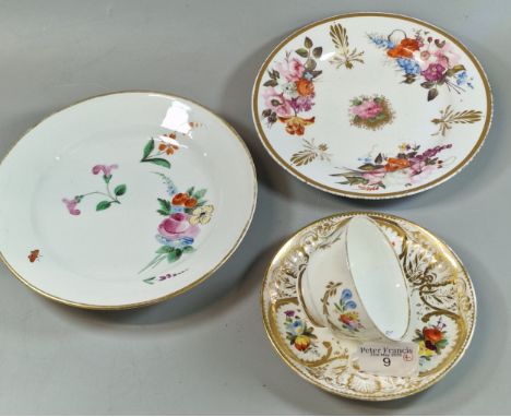 Collection of 19th century Swansea porcelain, to include: cup and saucer and two plates, all hand painted with flowers and fl