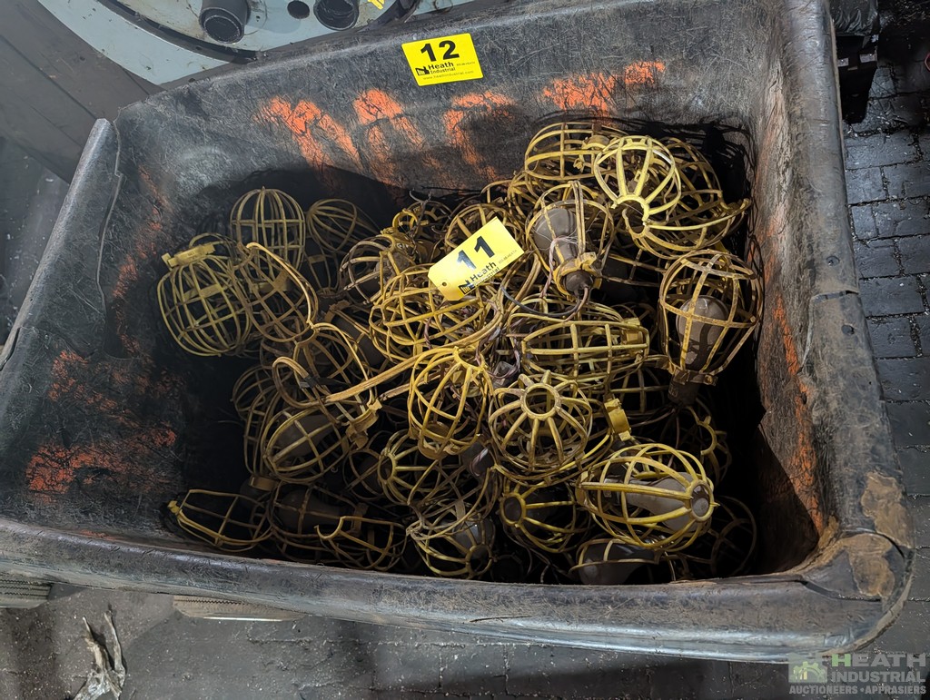 Lot 11