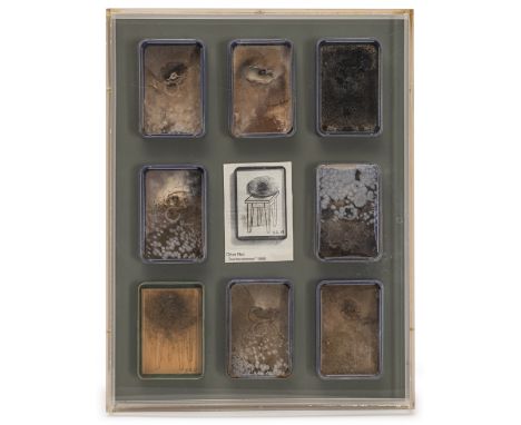 Roth, DieterHannover, 1930 - Basel, 199845 x 33,5 x 6 cm, R."Taschenzimmer", 1968/1969. Acht Plastikschachteln mit Bananensch