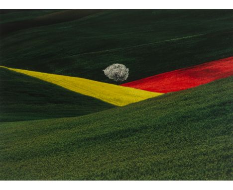 Fontana, FrancoModena, 193370 x 94 cm, R."Paesaggio Puglia", 1955. Farbfotografie auf Fotopapier. Rückseitig auf einem Etiket
