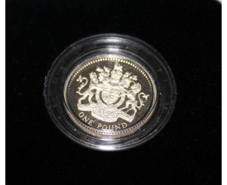 A ROYAL MINT 2003 SILVER PROOF £1 COIN, in original presentation case with COA/Booklet