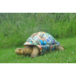 Binnit the Tin Can Tortoise