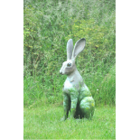 Hare Come Summer