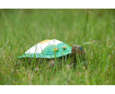 The shapes on the shell reminded Maggie of patterns of patchwork, or of flowers patterns so the flower patch was the amalgama