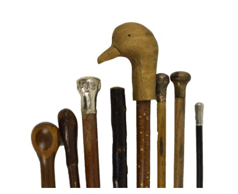 A group of walking canes including one white metal mounted example, an ebonised swagger stick and a staff with handle modelle
