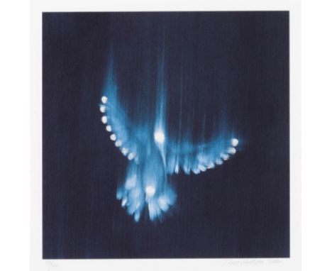 ROSS BLECKNER (born 1949)Falling Birds, 2002  Impression numérique à jet d'encre peinte à la main. Signée, datée et numérotée