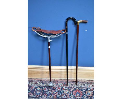 Two walking sticks and a shooting stick (3).