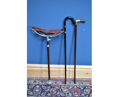 Two walking sticks and a shooting stick (3).