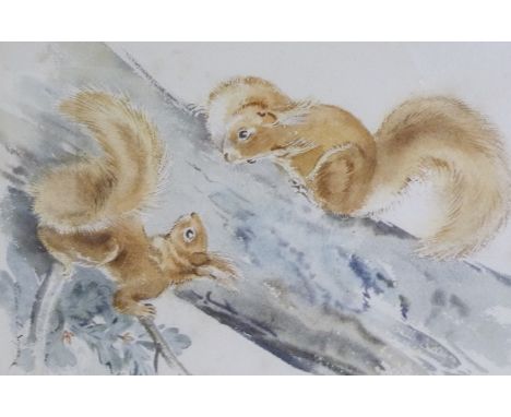 EILEEN A. SOPER Red Squirrels on a Tree Trunk, Watercolour, signed, 37cm x 24.5cm in bead decorated gilt glazed frame 
