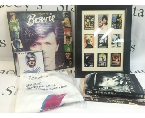 A Collection of David Bowie ephemera including book Bowie in Berlin, The Pitt Report, T-shirt, Best of Bowie record etc. this