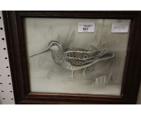 Gordon Turton pencil sketch of a snipe