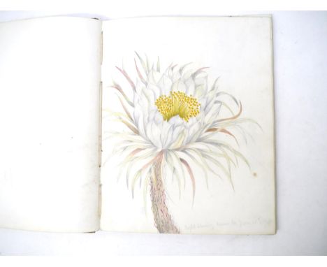 A Victorian commonplace album circa 1878, containing 26 pages of manuscript pencil and well executed manuscript pen, ink &amp
