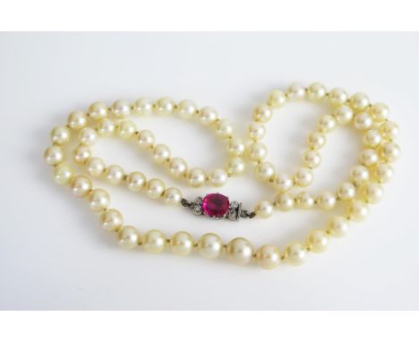 A Graduated Akoya Pearl Necklet with a synthetic ruby and diamond clasp, 55cm. Sold with SafeGuard Insurance certificate deta