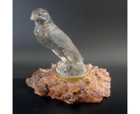 Rene Lalique a glass car mascot No 1124 "Falcon", molded R Lalique to the base, now mounted in a burr elm naturalistic base, 