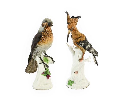 A Vienna Porcelain Model of a Hoopoe, late 19th century, after a Meissen Original, painted in naturalistic colours and on an 