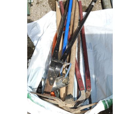 Quantity of Garden Tools 