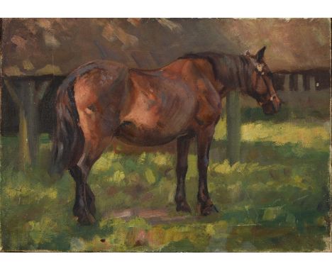 English School, 20th c - Study of a Chestnut Hunter, oil on canvas, 25.5 x 36.5cm  Good condition, some light wear.