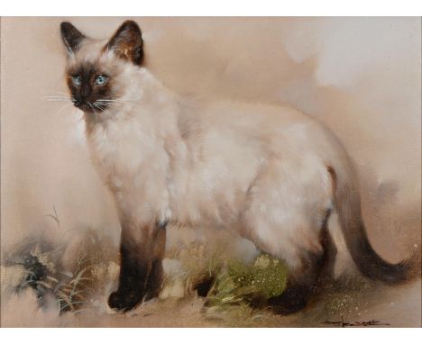 English School, 20th c - Portrait of a Siamese Cat, indistinctly signed, oil on canvas, 36.5 x 49cm  Good condition.