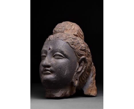 Ca. 100-300 AD Superb life-size schist head of Bodhisattva, with characteristic topknot (ushnisha) and elongated, pendular ea